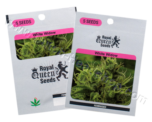 http://www.dutch-headshop.com/images/products/lrg/G_white-widow-feminized-royal-queen-seeds_sd771-3.jpg